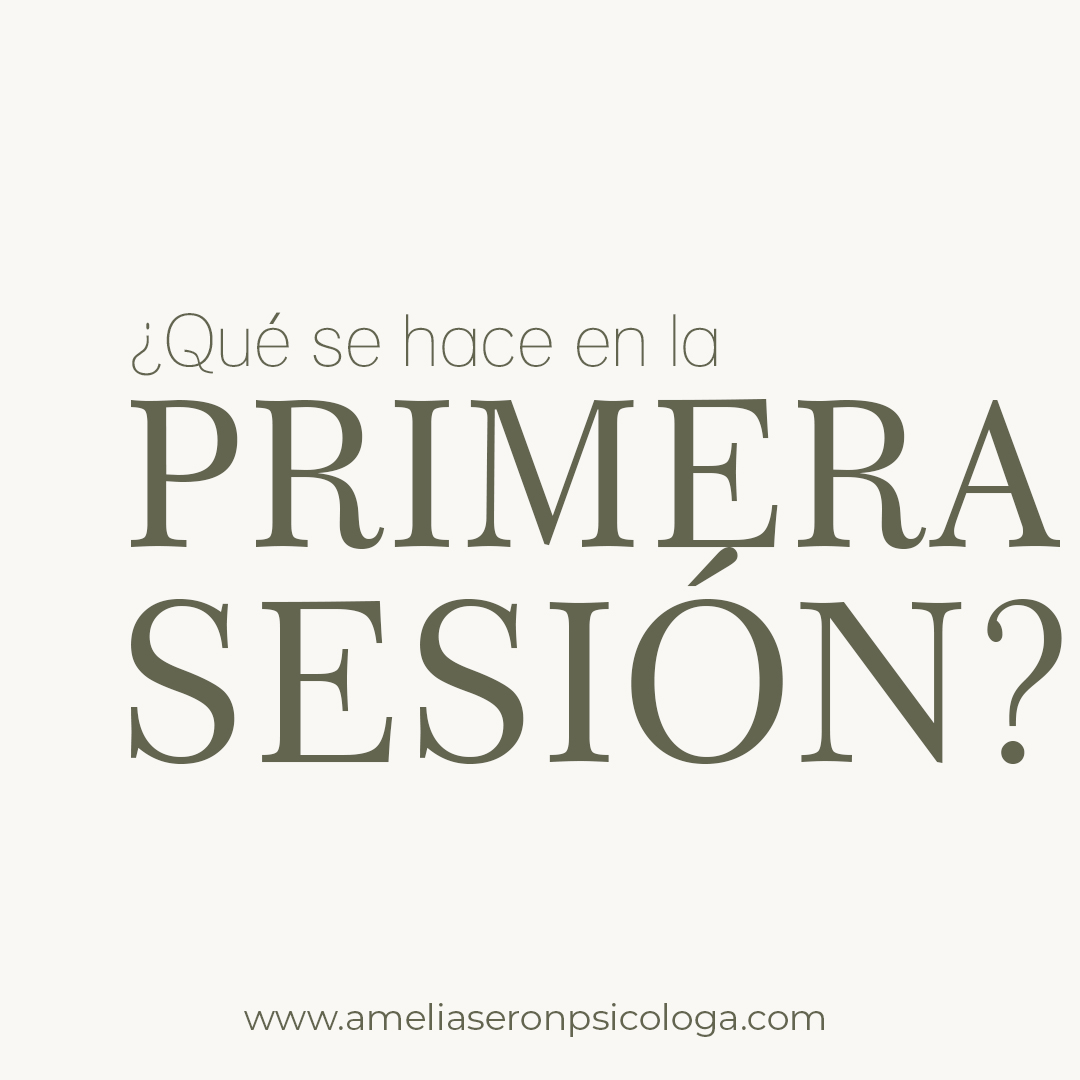 ¿Qué se hace en la PRIMERA SESIÓN?